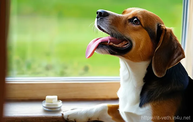 강아지 심장사상충 예방약 종류 - **Prompt 1: Annual Injection for Heartworm Prevention**
    "A heartwarming, realistic scene inside ...