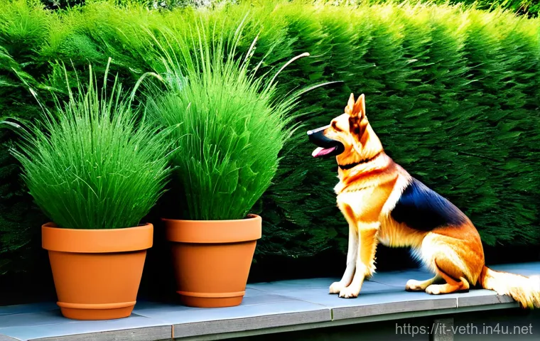 강아지 심장사상충 예방약 종류 - **Prompt 2: Monthly Chewable Tablet Administration**
    "A cozy, candid moment in an Italian home, ...