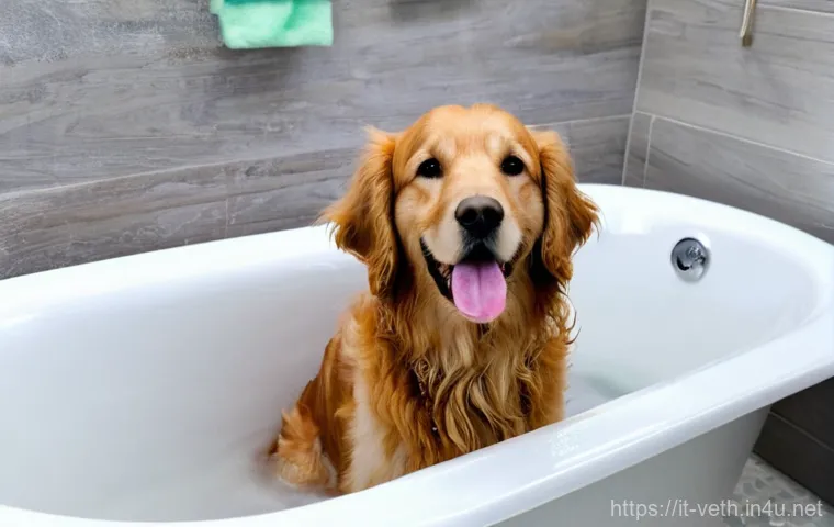 강아지 피부 알러지 전용 샴푸 - **Prompt:** A medium-sized, short-haired dog, possibly a beagle or mixed breed, with visible patches...