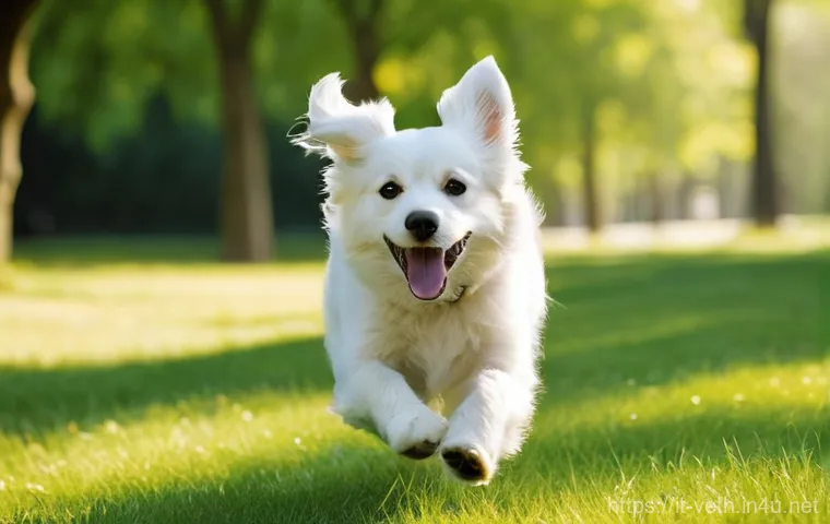 강아지 피부 알러지 전용 샴푸 - **Prompt:** A calm, fluffy dog, perhaps a golden retriever or a poodle mix, standing patiently in a ...