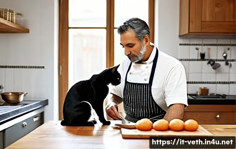 고양이 간식 중독 방지법 관련 이미지 2