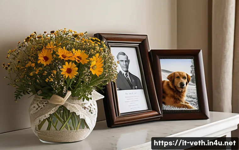 반려동물 장례 절차 관련 이미지 2