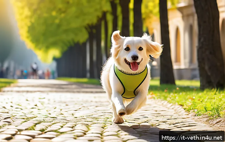 강아지 항문낭 관리법 관련 이미지 2