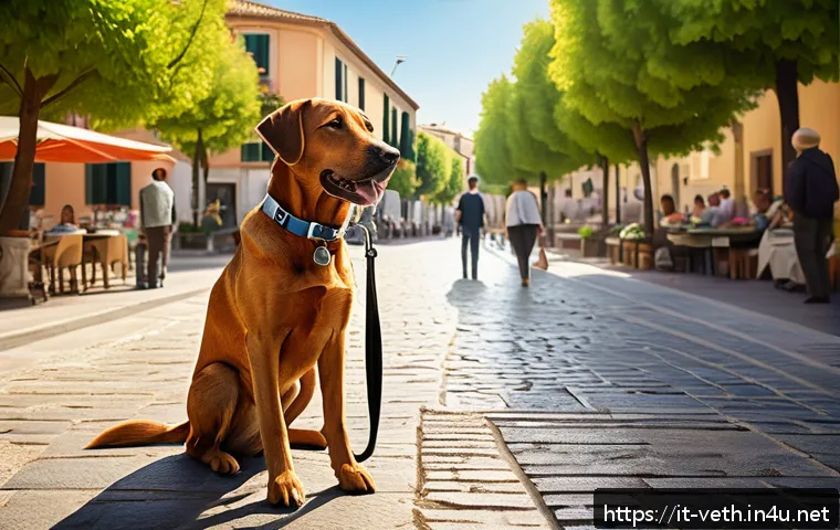 반려동물 산책 중 위험물 관리 관련 이미지 2