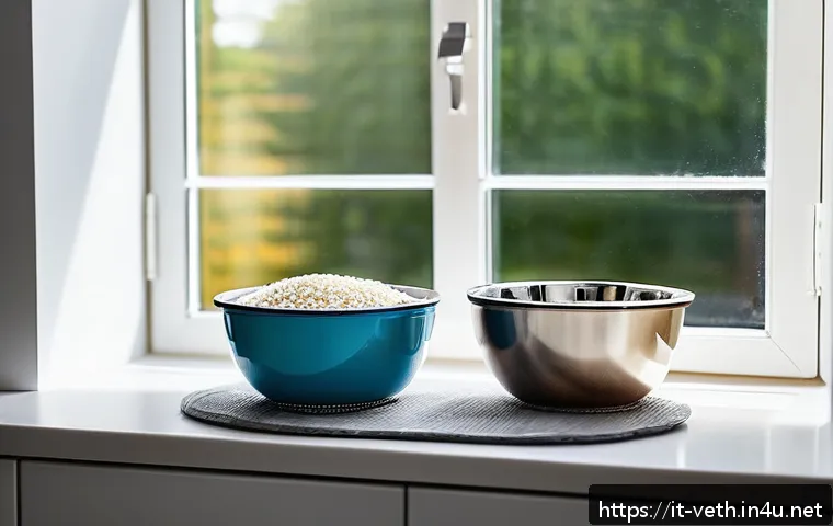 반려동물 식기 세척 방법 - A clean and modern kitchen setting in an Italian home, featuring three pet bowls side by side on a t...