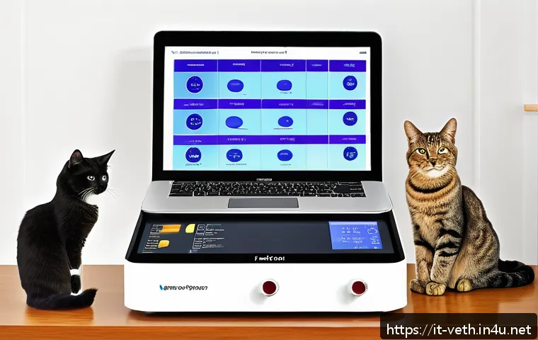 반려묘 비만 관리법 관련 이미지 2