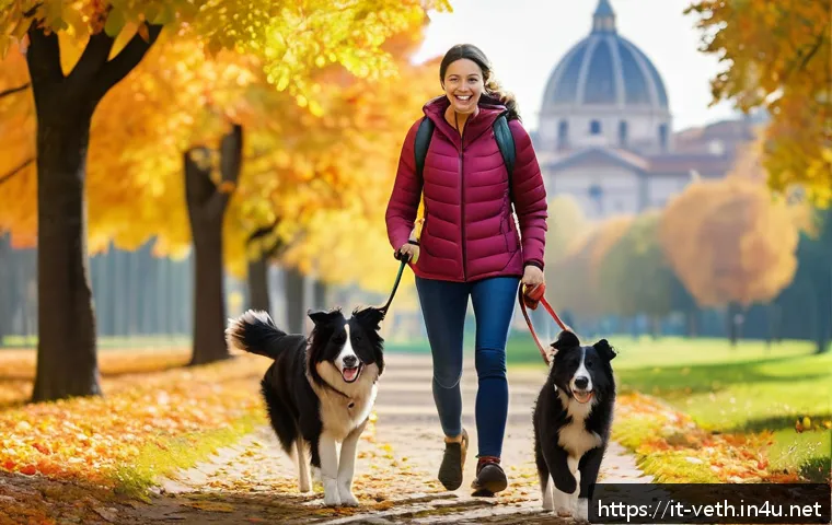 반려견 체중 관리 방법 관련 이미지 2