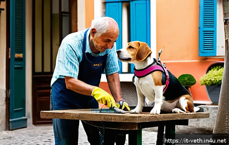 강아지 미용 비용 비교 관련 이미지 1