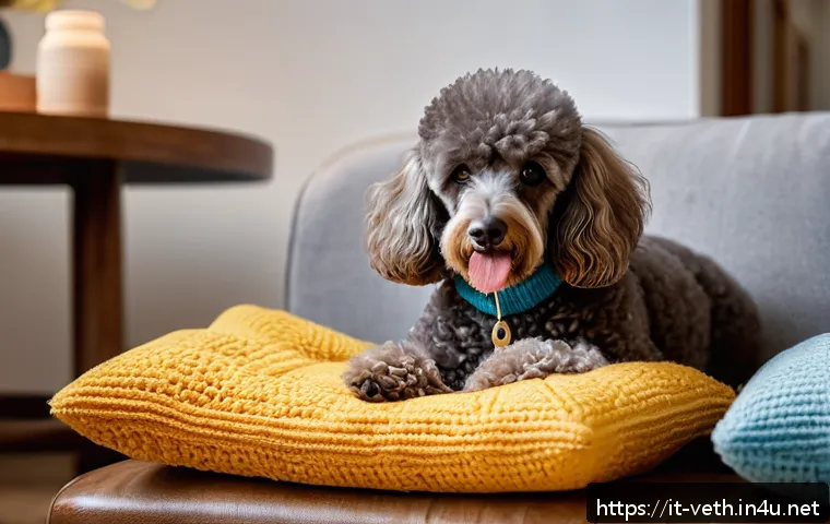 이갈이 예방을 위한 강아지 장난감 추천 관련 이미지 1