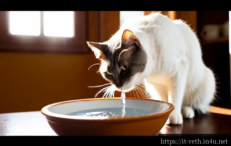 Home 17 고양이 신장병 초기 증상 - Photorealistic close-up of a senior domestic short-haired cat quietly drinking from a ceramic water ...